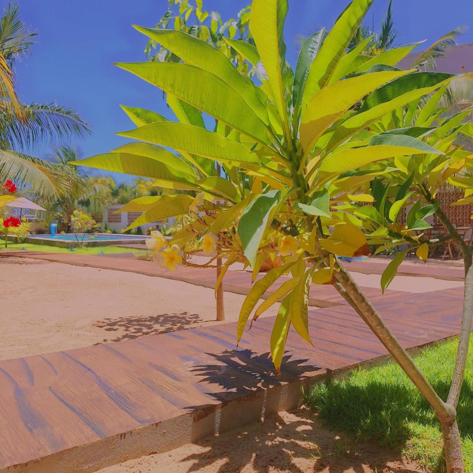 Condomínio Shalom Beach - Chalé Sol Canoa Quebrada Extérieur photo